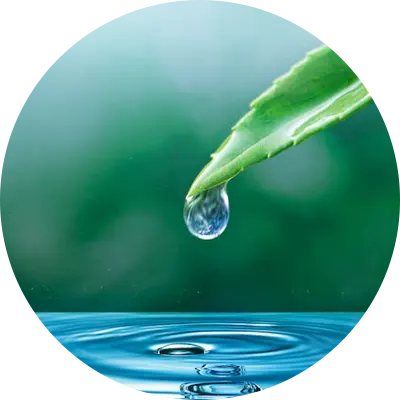 Water Management